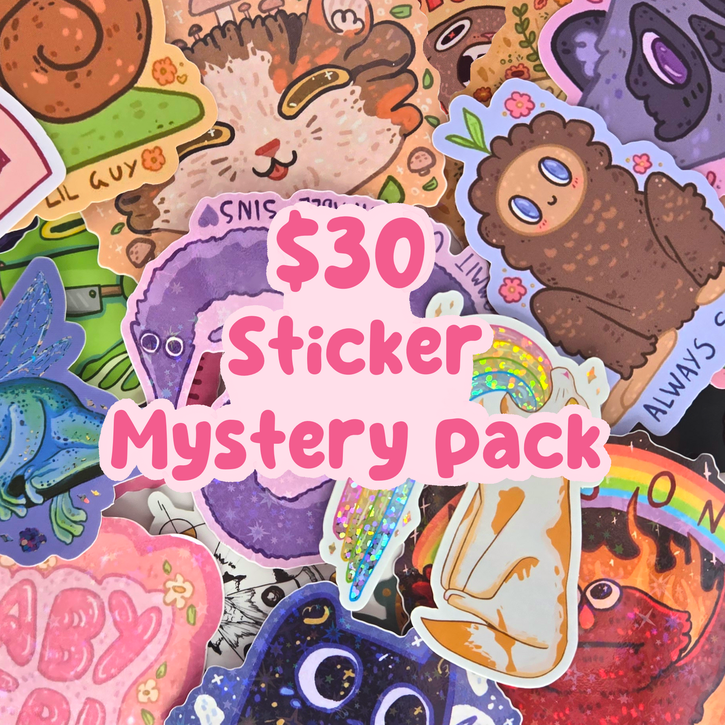 $30 Sticker Mystery Pack - Vinyl Stickers