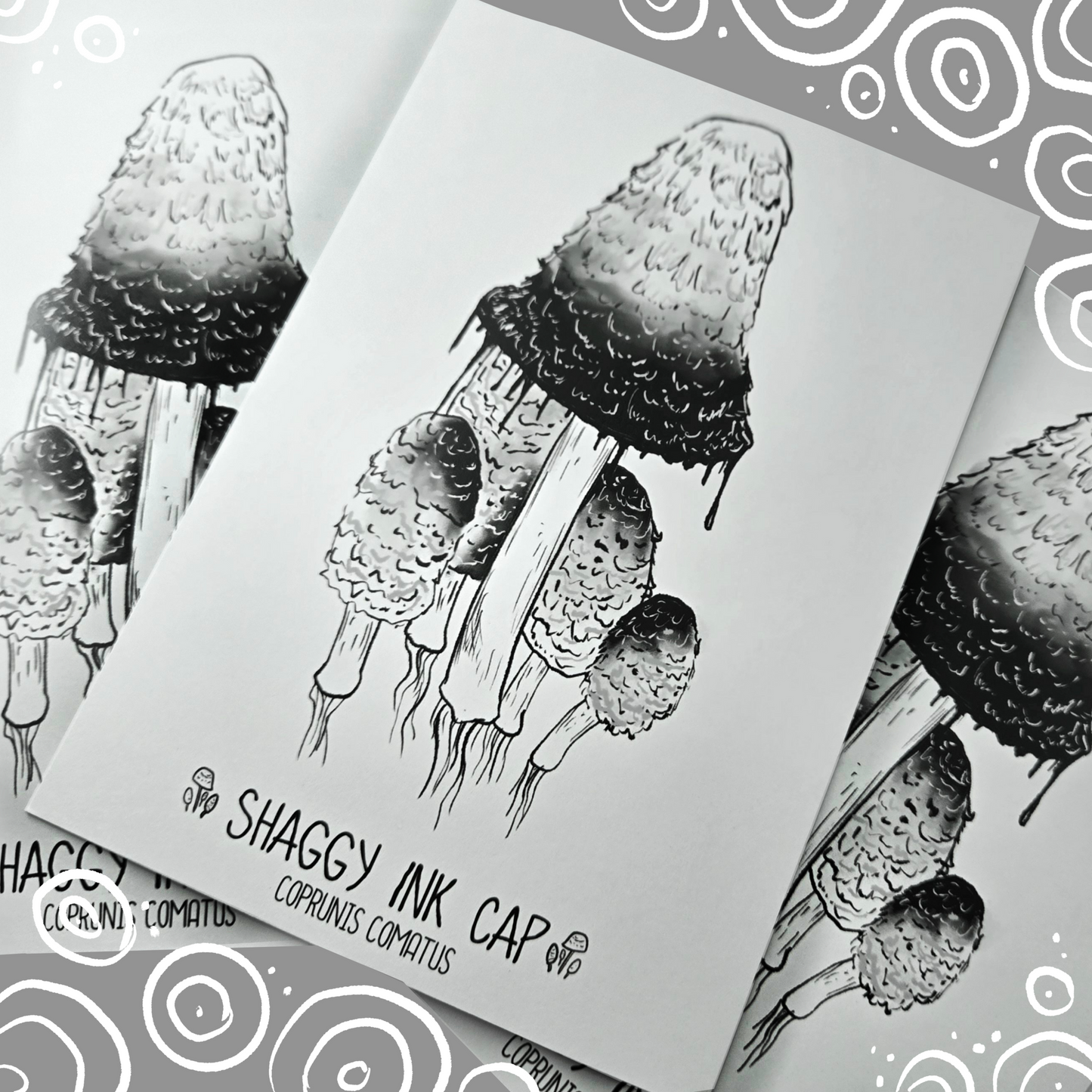 Shaggy Ink Cap Mushroom